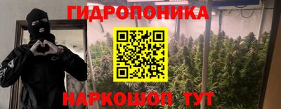прущая мука Кингисепп
