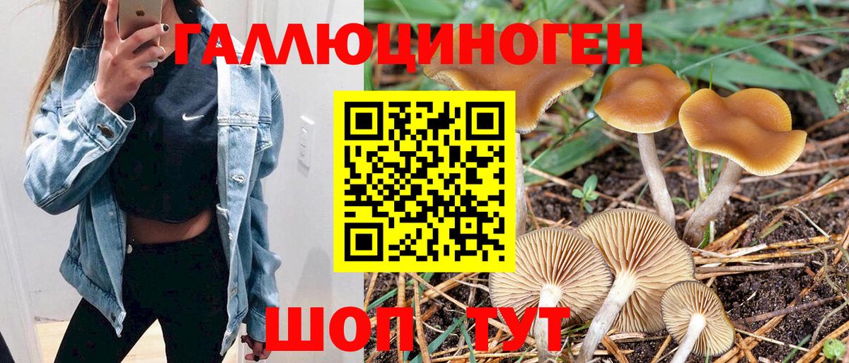 Кострома  Галлюциногенные грибы мухоморы  купить  цена  Вход с VPN 
